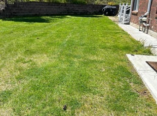 Sonia P.'s Lawn Service service result
