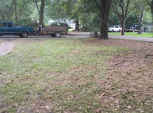 Cleanups by Tracy Delrow for Seth L. in Mobile, AL