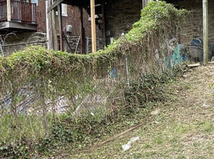 Bush Trimming by Darren Burch for Belle E. in Philadelphia, PA