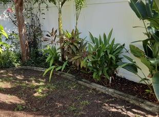 Cleanups by Rupert Mclendon for Bryan P. in Tampa, FL