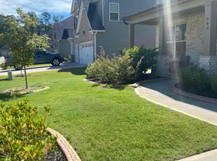 Denise H.'s Grass Cutting service result