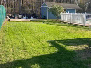 Linda C.'s Lawn Service service result