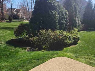 Kevin W.'s Lawn Mowing Service service result