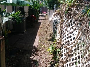 Cleanups by Clyde Kovac for Susan S. in Oviedo, FL