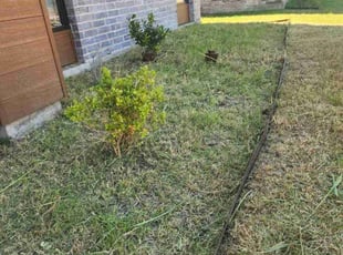 Weeding by Manuel Solis Soto for Hunter G. in Frisco, TX
