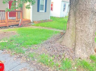 Cleanups by Tim Simsheuser for Sammi P. in Kansas City, MO