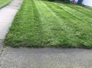 Sharon L.'s Lawn Mowing service result