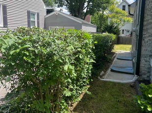 Bush Trimming by Javier Presentado for Uttara G. in Summit, NJ
