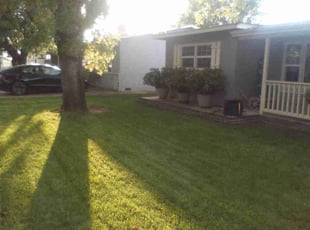 Sonja N.'s Yard Cutting service result