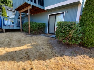 Cleanups by Coben Varland for Bethany W. in Bellevue, WA
