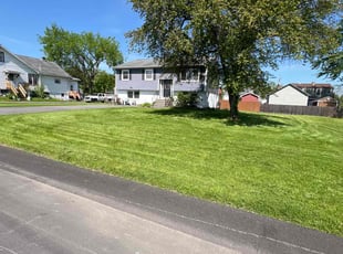 Shore G.'s Lawn Mowing service result
