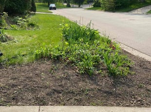 Leaf Removal by Demian Saravia for Amber L. in Bloomington, MN