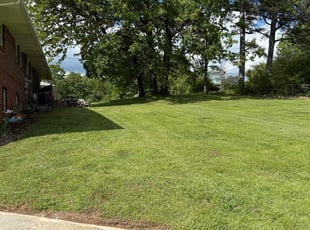 Julie B.'s Yard Cutting service result