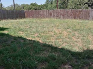 Cleanups by Jason Westgor for Nicole G. in San Antonio, TX