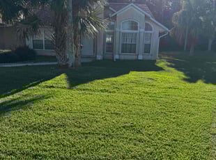 Francis T.'s Lawn Service service result