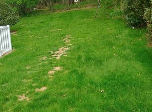 Leaf Removal by Deon McCullough for Pete H. in Greensburg, PA