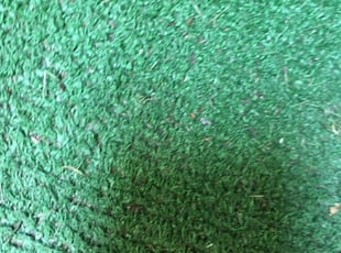 Bush Trimming by Christopher Sandoval for LeJuan S. in Washington, DC