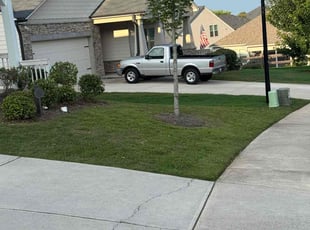 Bush Trimming by Bruce Allgary for Daniel G. in Canton, GA