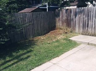 Penelope B.'s Cleanups service result