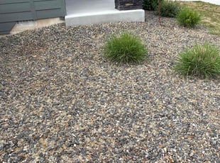 Weeding by Tim Root for Gwen H. in Star, ID