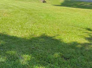 Bonnie C.'s Lawn Mowing Service service result
