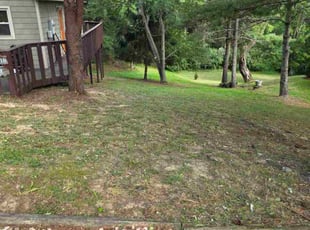 Bush Trimming by Carla Cochran for Susan J. in McGaheysville, VA