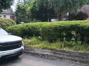 Bush Trimming by Caleb Patton for Brandon A. in Cincinnati, OH