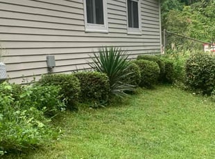 Bush Trimming by Jordan Guerrero for Marilyn C. in Marietta, GA