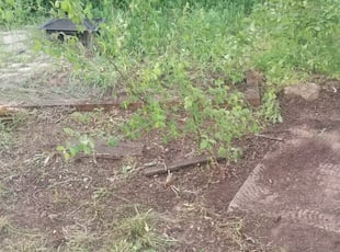 Cleanups by Adrian Diaz for Chalen S. in Lakewood, CO