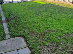 Shanda C.'s Lawn Service service result