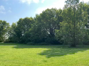 Lisa W.'s Grass Cutting service result