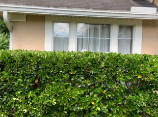 Bush Trimming by Lenard Moody for Michael B. in Jacksonville, FL