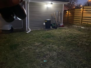 Leaf Removal by Okoye West for Anderson M. in Kansas City, MO