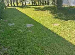 Marcelles N.'s Lawn Maintenance service result