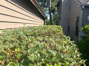 Bush Trimming by Derrion Wicker for Samuel S. in Ponte Vedra Beach, FL