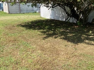 Bush Trimming by Robert Martin for Teresa V. in Lakeland, FL