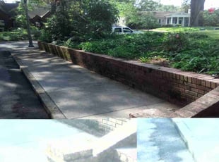 Weeding by Eric Gaytan for Chesney M. in Memphis, TN