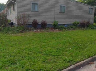 Cleanups by Damon Thomas for Christopher B. in Hampton, VA