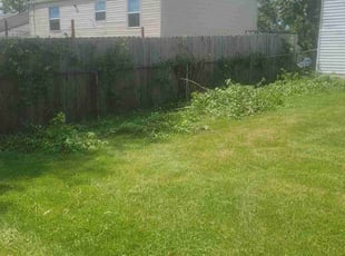 Bush Trimming by Grant Caver for Tekoa S. in Cincinnati, OH