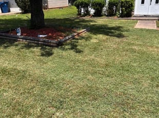 Michelle I.'s Lawn Mowing service result