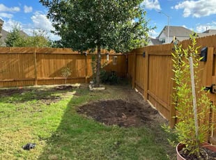 Cleanups by Marcus Ward for Kristi H. in New Braunfels, TX