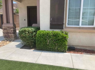 Bush Trimming by Hugo Lopez for Ruben M. in Menifee, CA