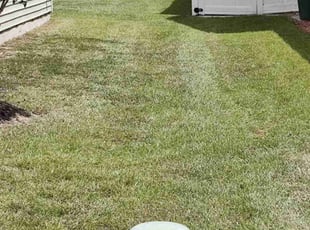 Robyn M.'s Lawn Mowing service result
