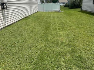 Melissa S.'s Lawn Service service result