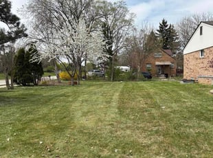 Rita N.'s Lawn Service service result