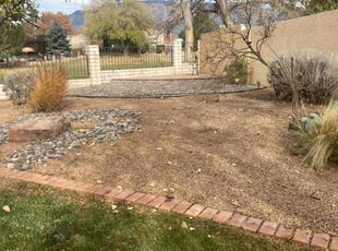 Leaf Removal by Manuel Lucero for Arup M. in Albuquerque, NM