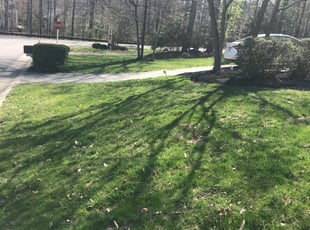 Leaf Removal by Chris Thomas for Jodi B. in Midlothian, VA