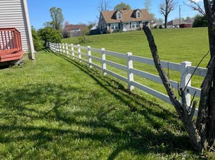 Sue L.'s Yard Cutting service result