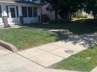 David T.'s Lawn Mowing service result