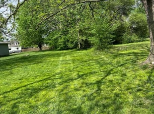 Matthew L.'s Lawn Service service result